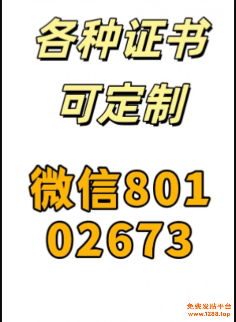 QQ图片20251121004250