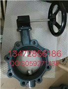 保证原装正品德国EBRO依博罗涡轮蝶阀 Z014-A